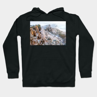 The Roaches Hoodie